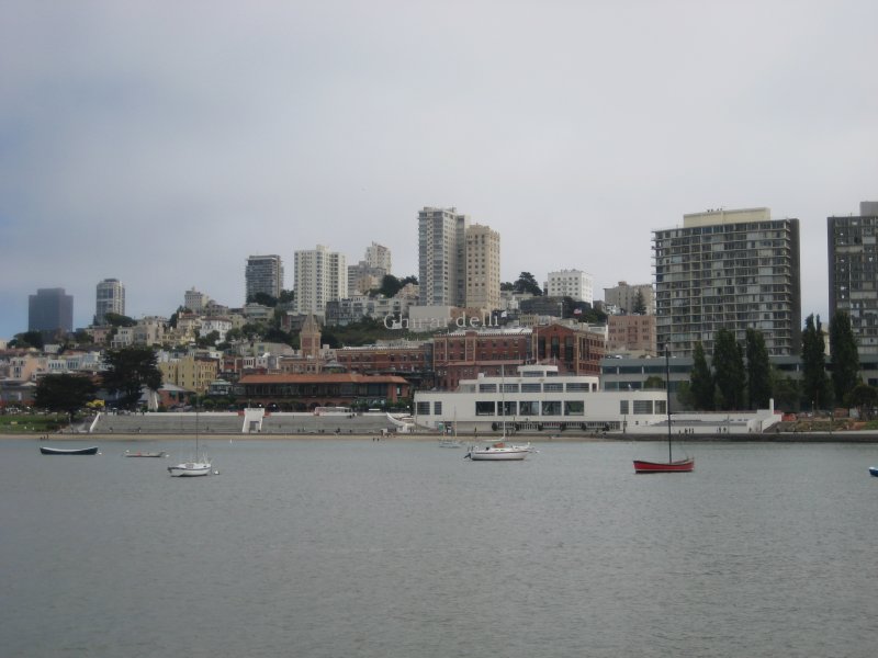 IMG_7872.JPG