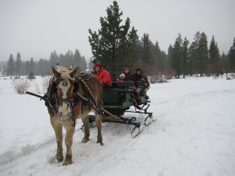 IMG_9521.JPG