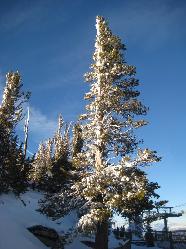 IMG_9736.JPG