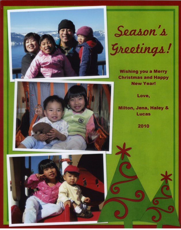 xmas_card_hi_2010.jpg