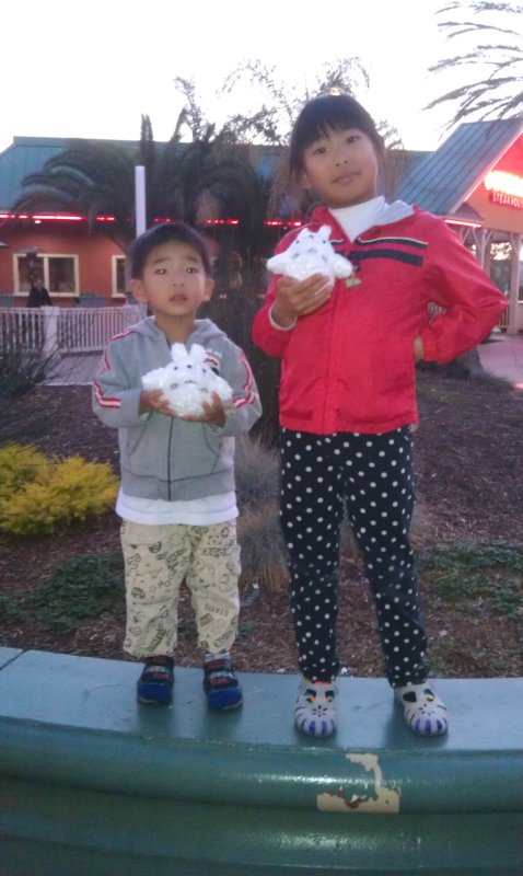 IMAG0355.jpg