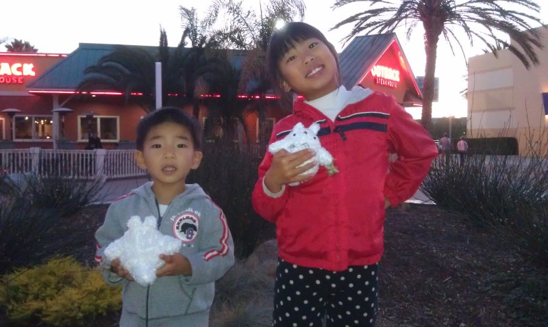 IMAG0357.jpg