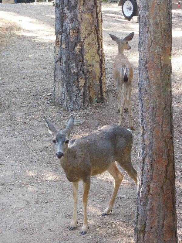DSCN5945.JPG