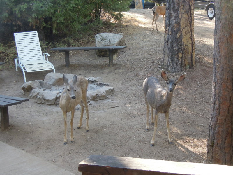 DSCN5953.JPG