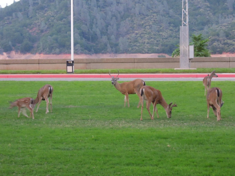 DSCN6010.JPG