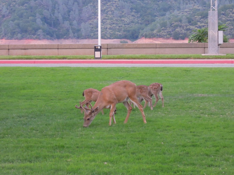DSCN6013.JPG