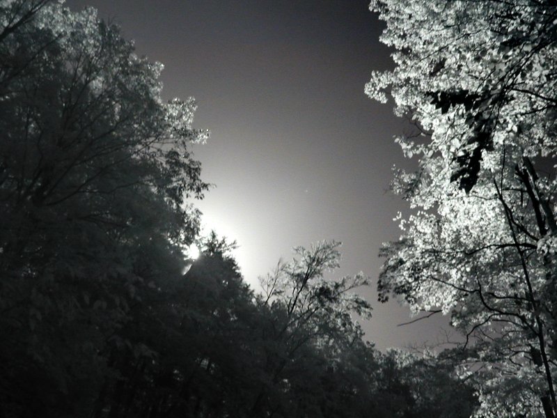 ASTABULA_09_24_08_004.JPG