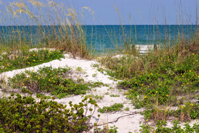 Beach06 029.jpg