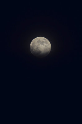 moonrise 067.jpg