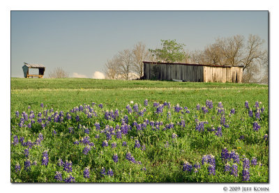 Field and Shed, Austin County