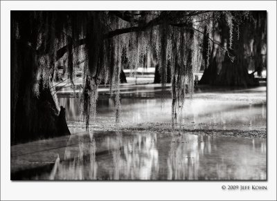 Caddo Lake, Nov 2008