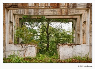 Concrete Structure and Tree, Texasgulf Sulfur Operation