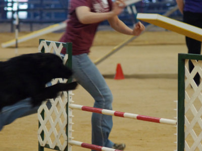 Agility Trial, March 18, 2012