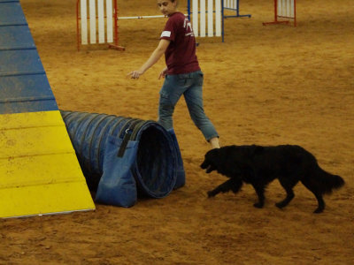DSC02261_PP_web_q92.jpg