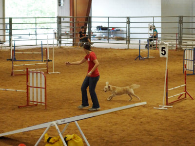 DSC02325_PP_web_q92.jpg