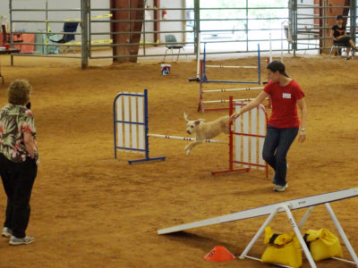 DSC02326_PP_web_q92.jpg