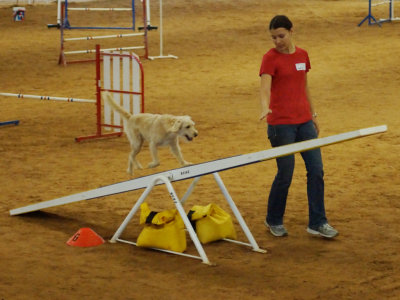 DSC02328_PP_web_q92.jpg