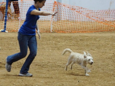DSC04686_PP_web_q92.jpg