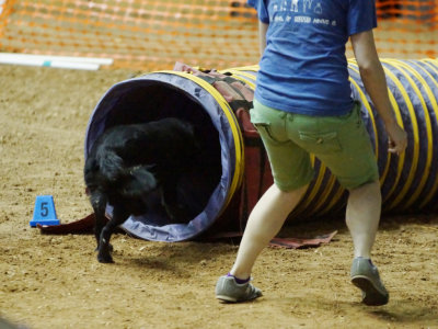 DSC04801_PP_web_q92.jpg