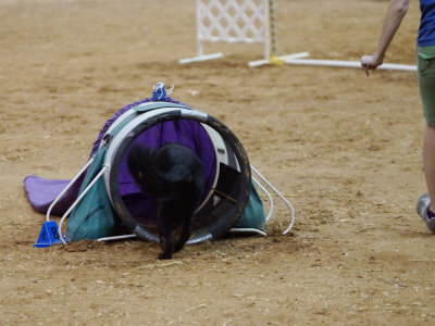 DSC04808_PP_web_q92.jpg