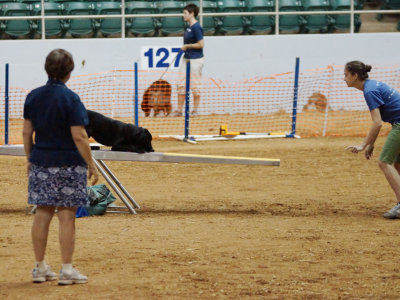 DSC04810_PP_web_q92.jpg