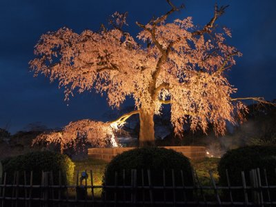 kyoto_2010