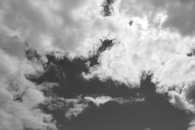 IMG_1313.JPG
