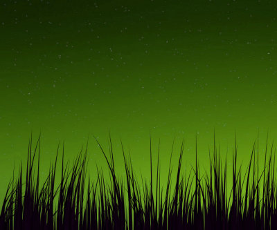 green wallpaper_grass_night.jpg