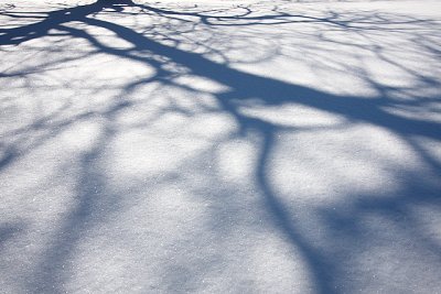 IMG_1892.JPG