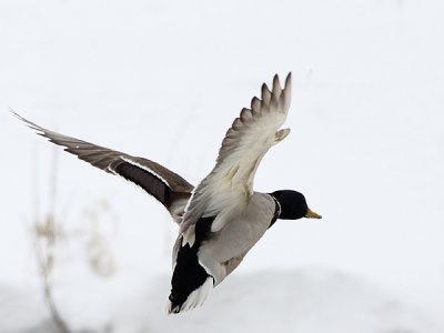 IMG_2227.JPG