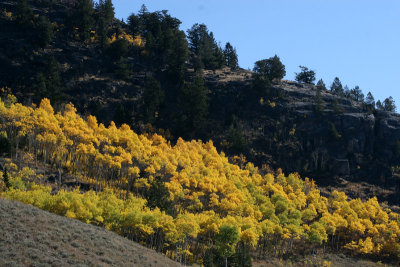 Beartooth Highway