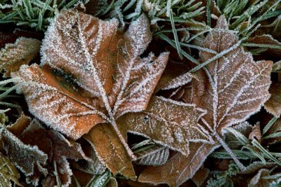 Image00003.jpg