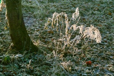 Image00005.jpg