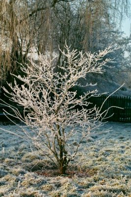 Image00006.jpg
