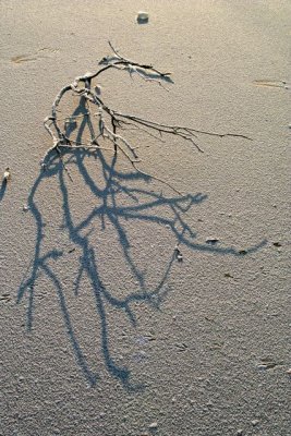 Image00007.jpg