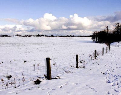 jflavin_snow-landscape-Canon 40D_0759.jpg