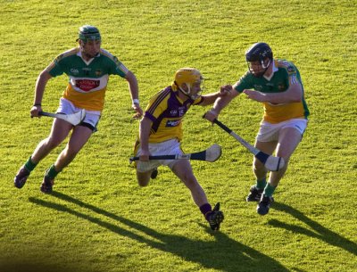 wexford-offally-game