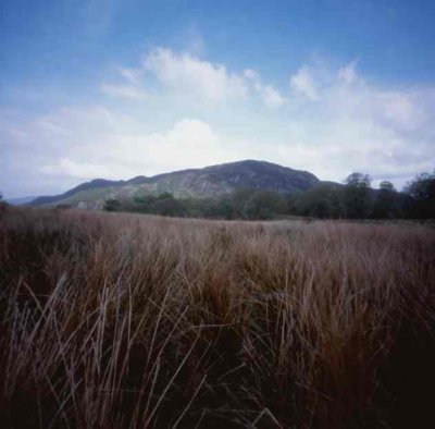  25mm pinhole-6x6 neg_pz19