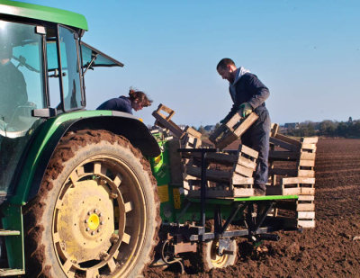 jflavin_potato-planting 6-SD14_0366.jpg