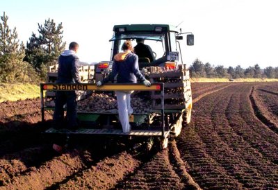 jflavin_potato-planting 7-SD14_0367.jpg