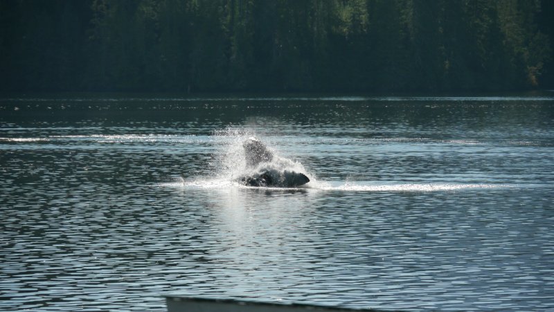 P1010882 (Large).JPG