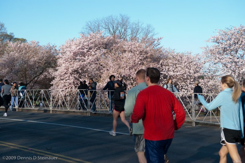 DS20090405_0348p.jpg
