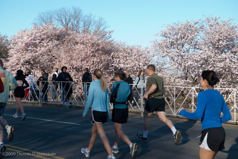 DS20090405_0349p.jpg