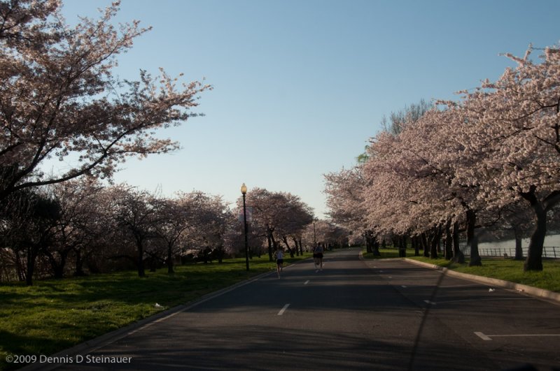 DS20090405_0376p.jpg