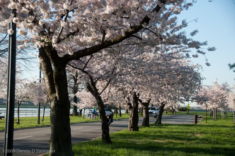 DS20090405_0389p.jpg