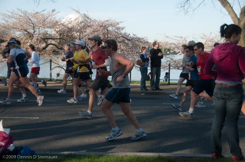 DS20090405_0553p.jpg