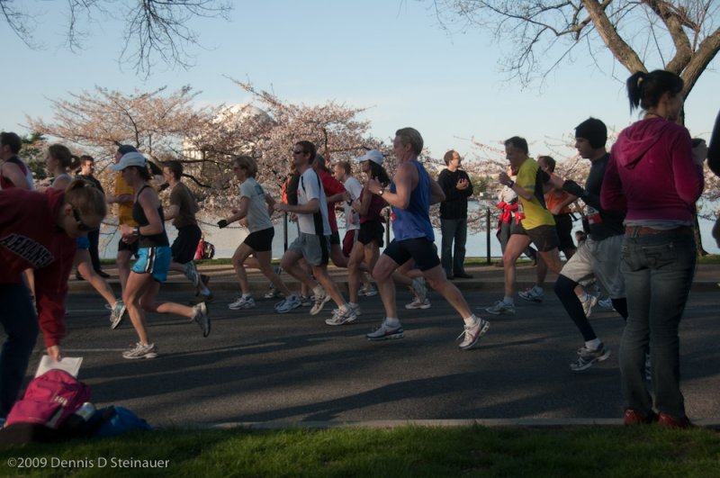 DS20090405_0562p.jpg