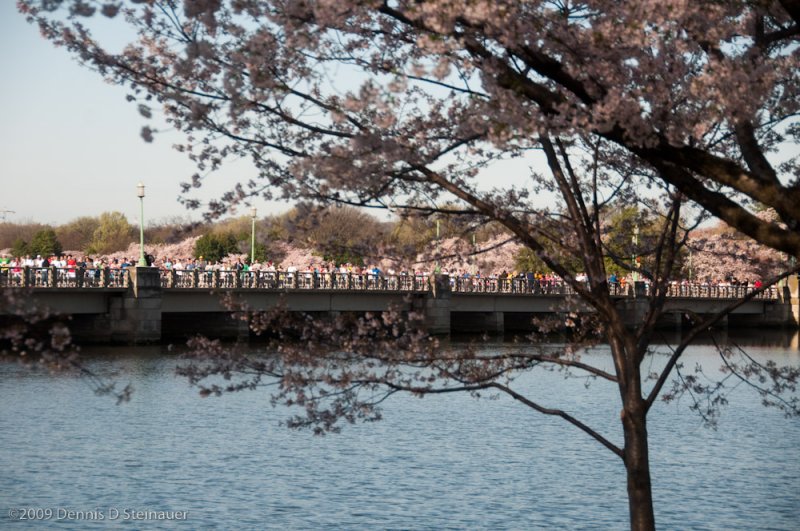 DS20090405_0681p.jpg
