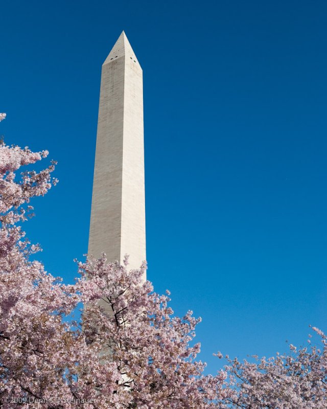DS20090405_0898p.jpg