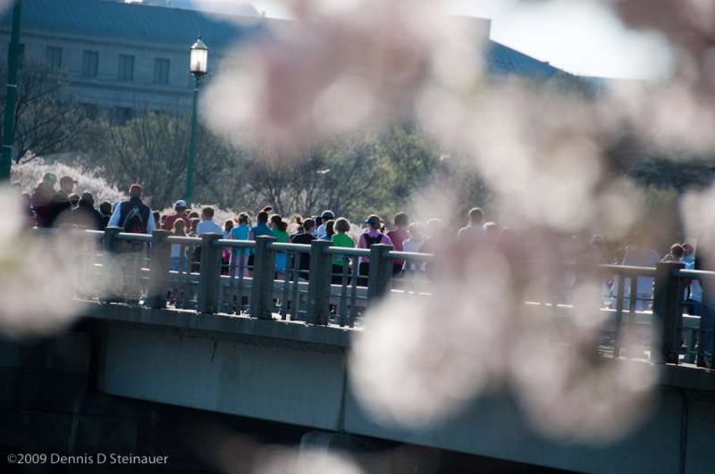 DS20090405_0868p.jpg